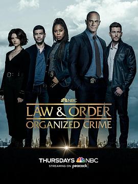 《法律与秩序：组织犯罪第三季》