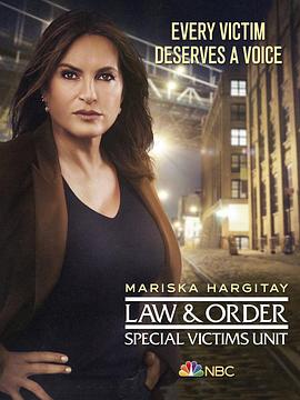 《法律与秩序：特殊受害者第二十二季》